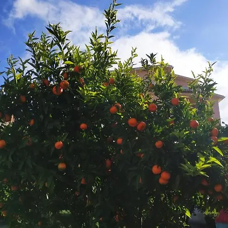 Bed & Breakfast Munde